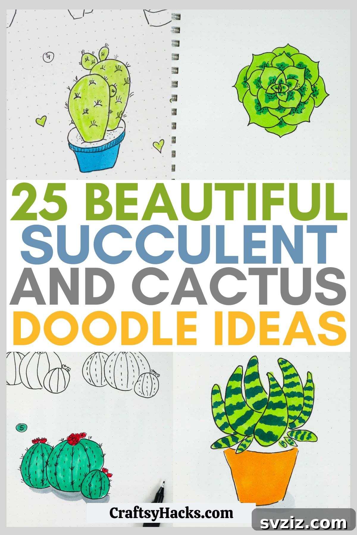cute cactus and succulent doodle ideas for bullet journals