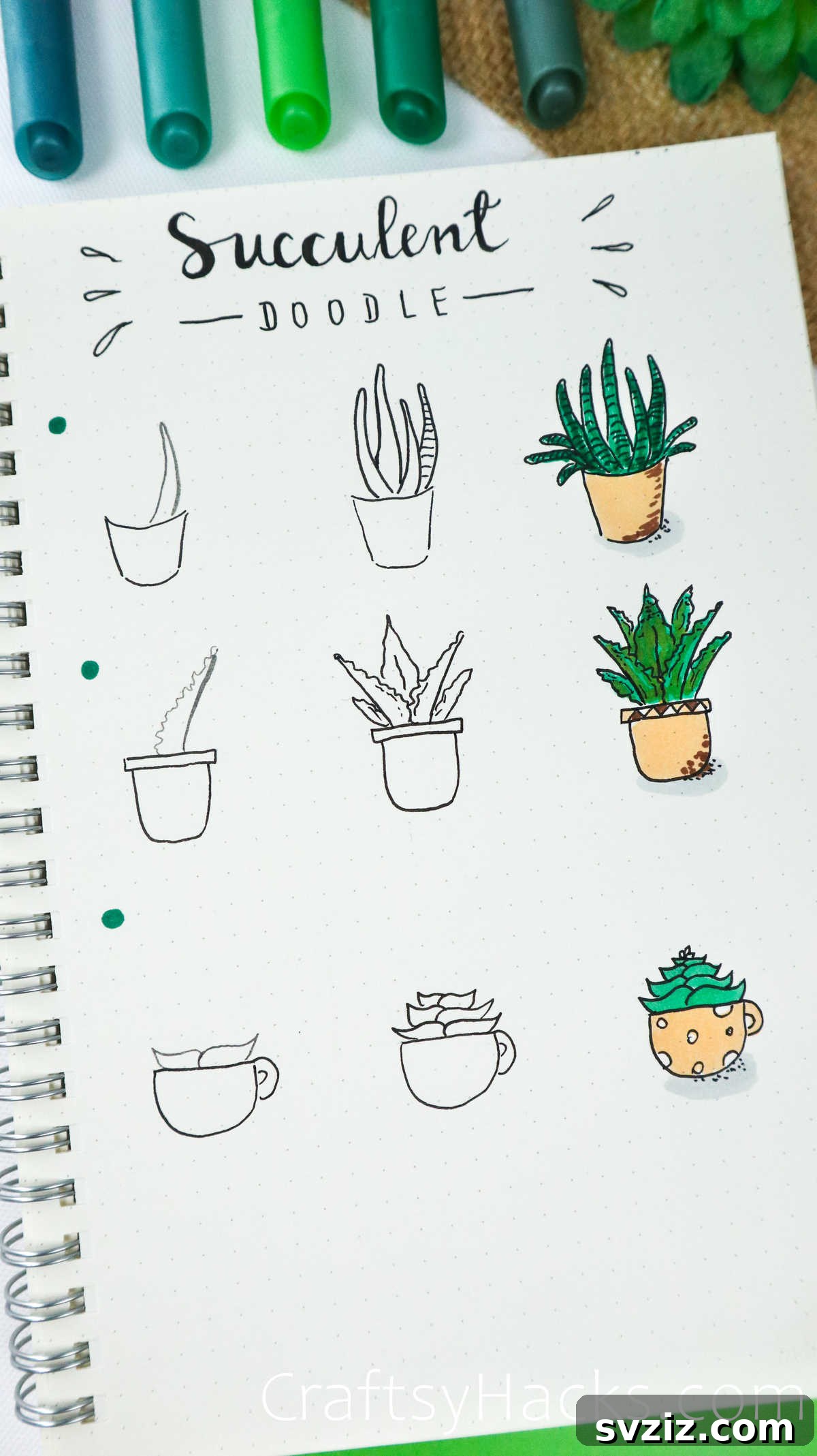 succulent doodle drawing idea