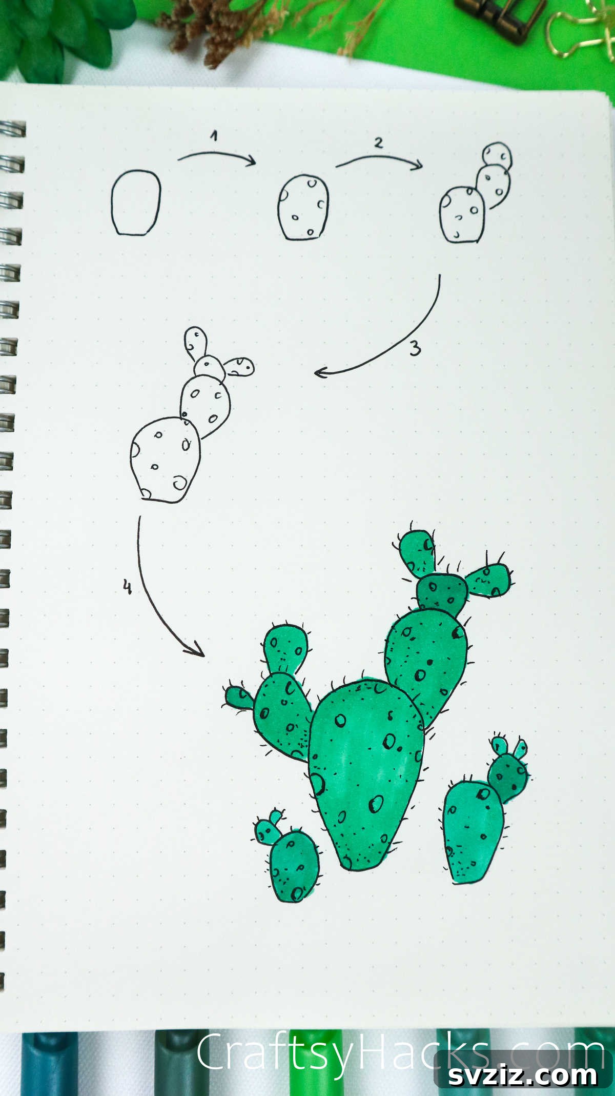 prickly pear drawing step by step
