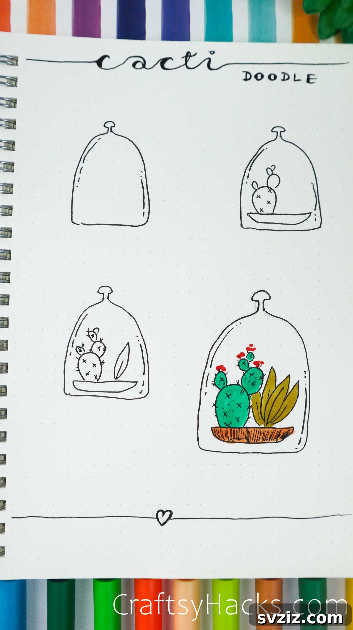 succulent and cacti in a cloche drawing