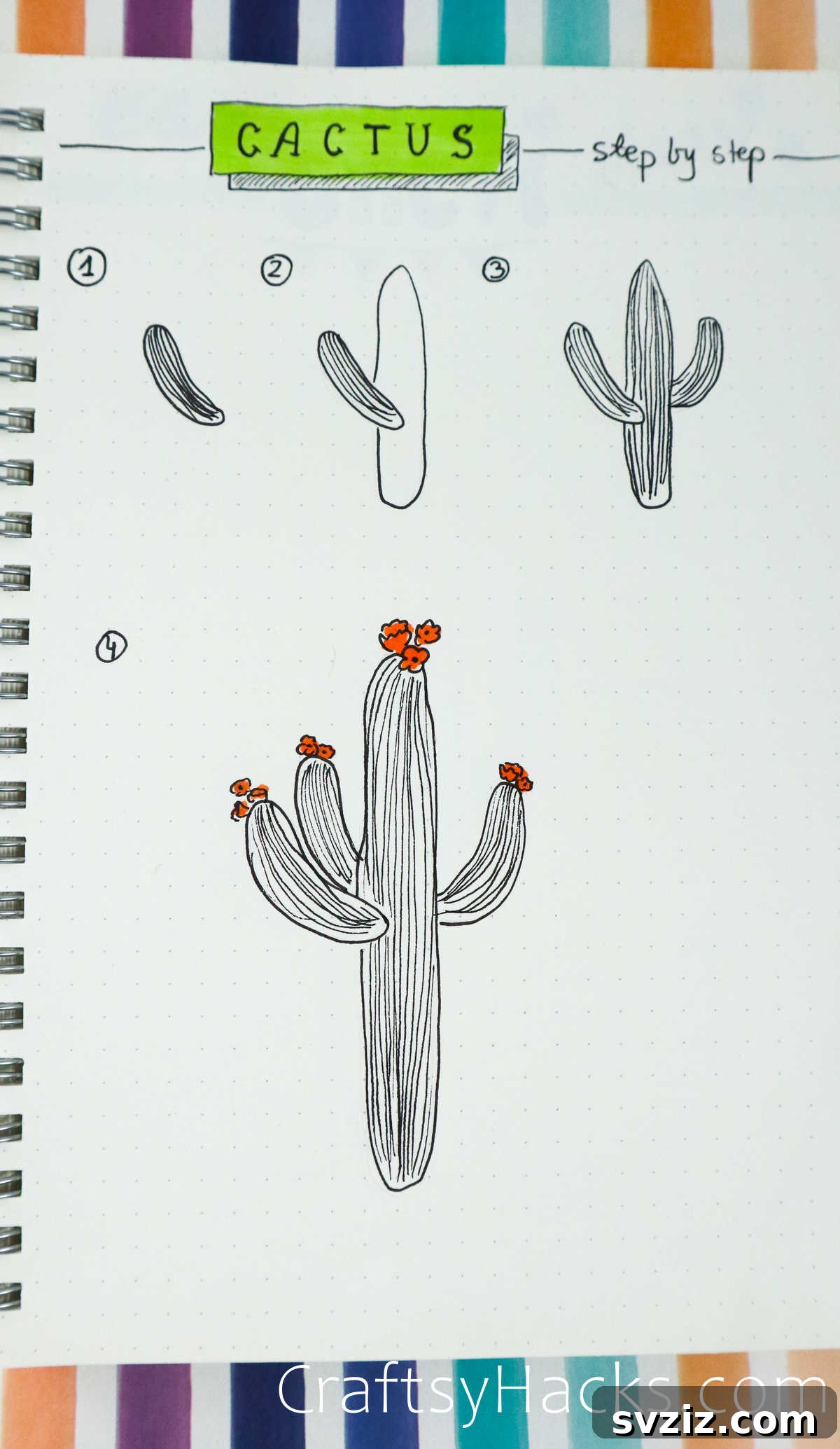 flowering saguaro cactus drawing