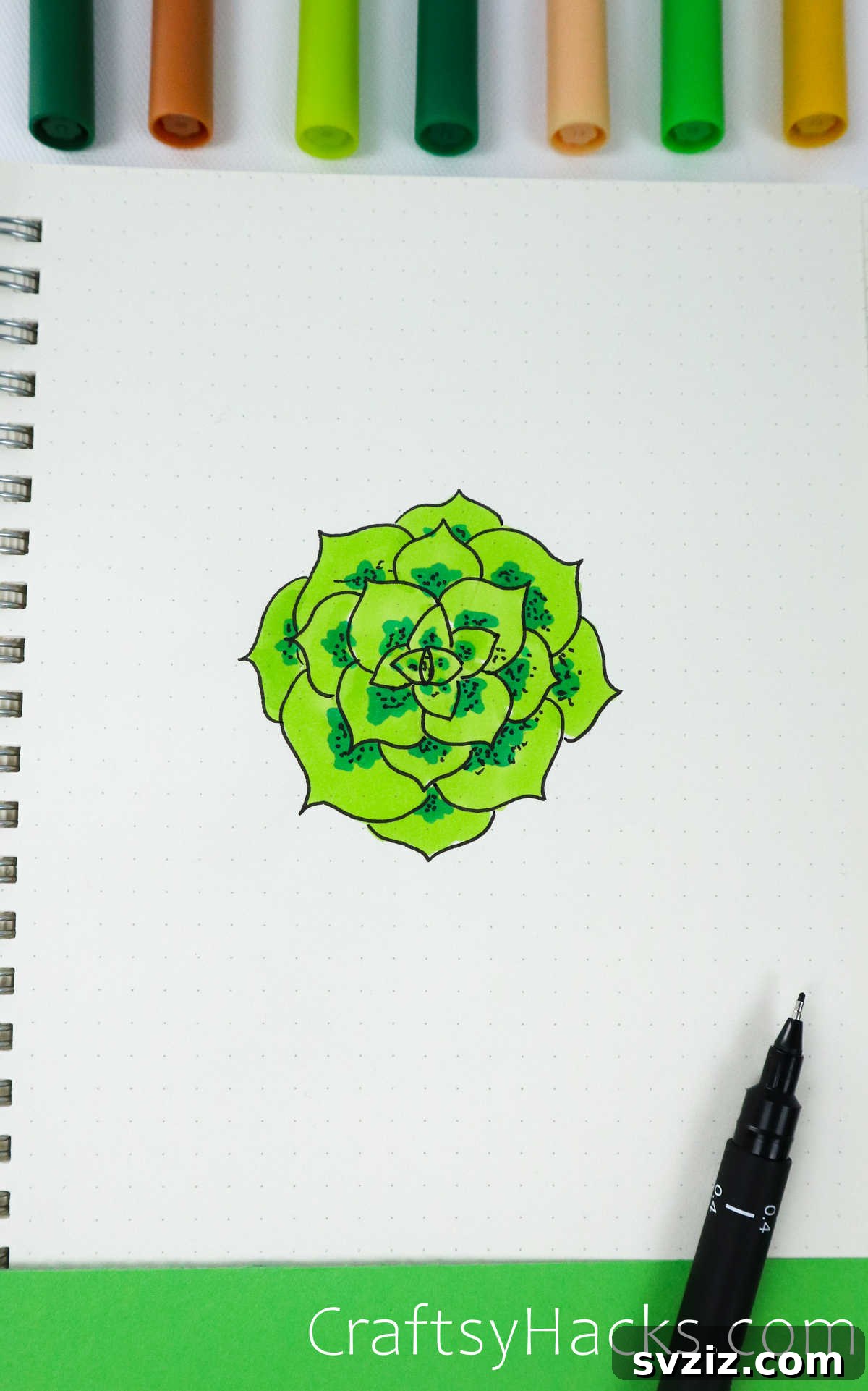 overhead blooming succulent drawing