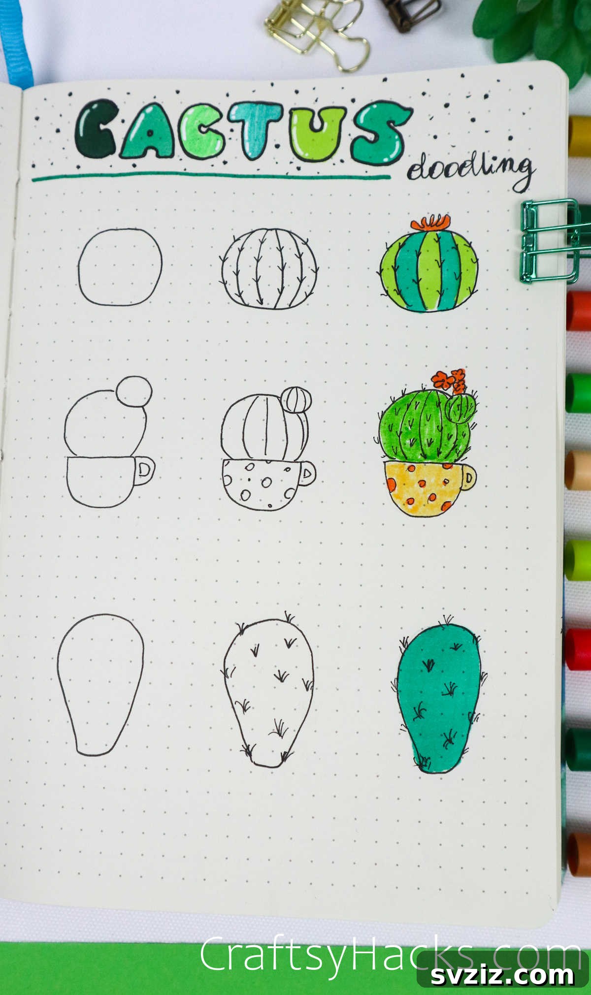 cactus doodle ideas with color