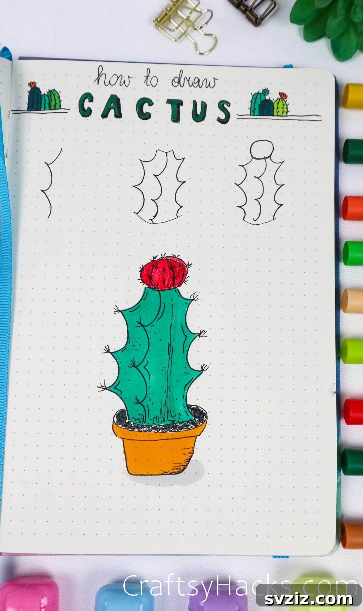 short flowering cactus drawing