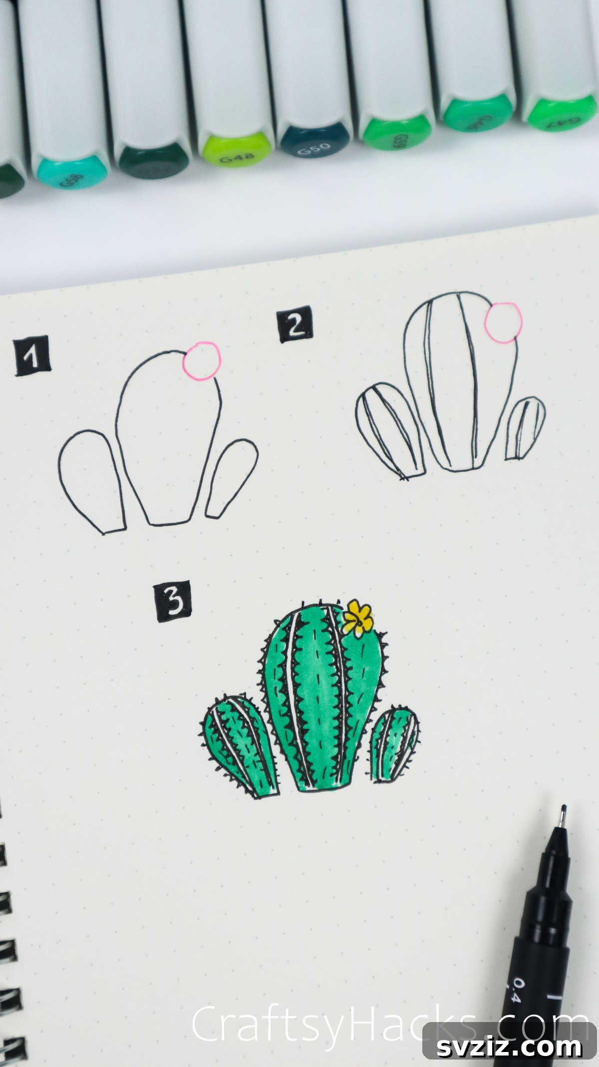 cactus and flower drawing