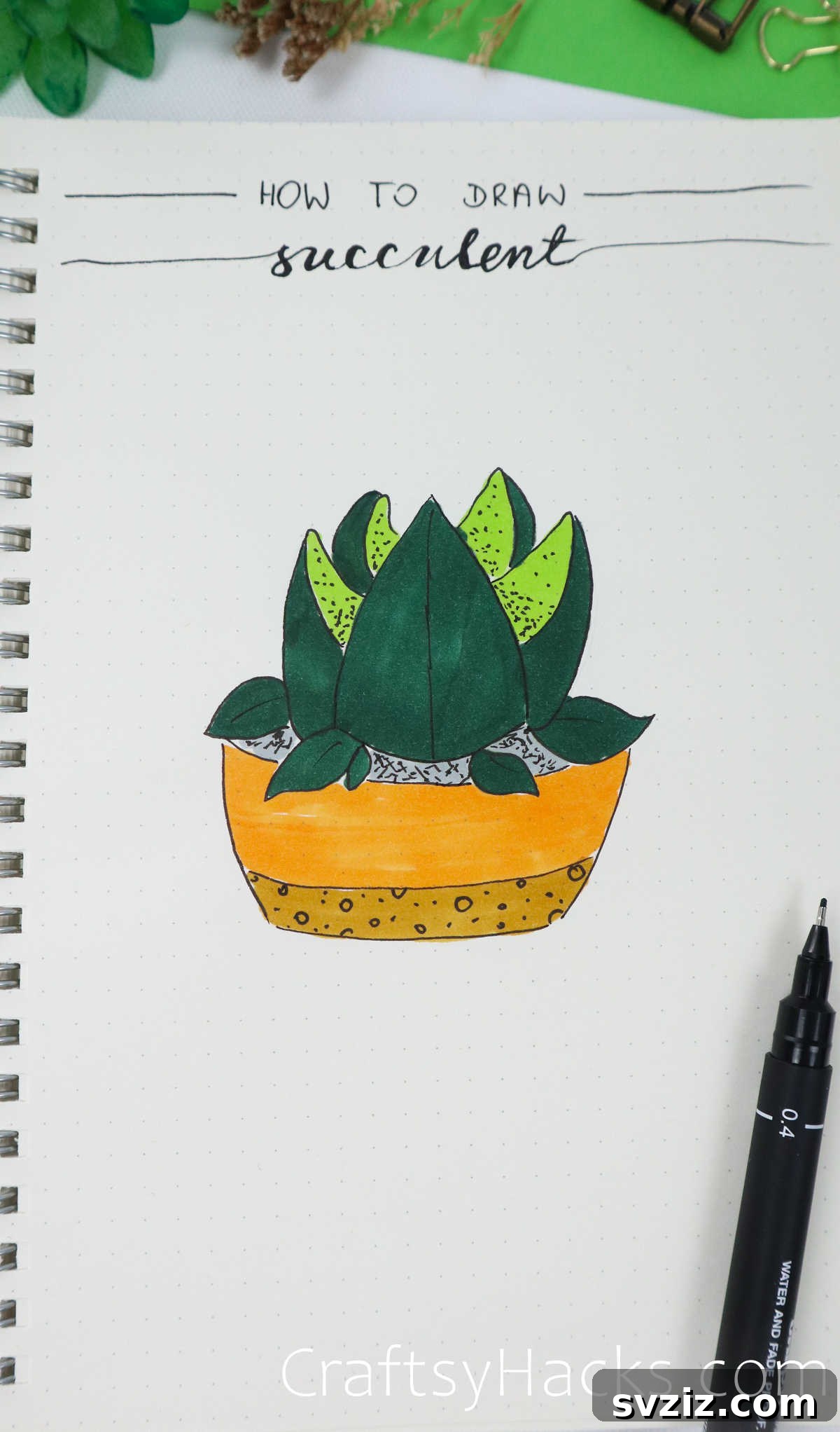 potted succulent drawing
