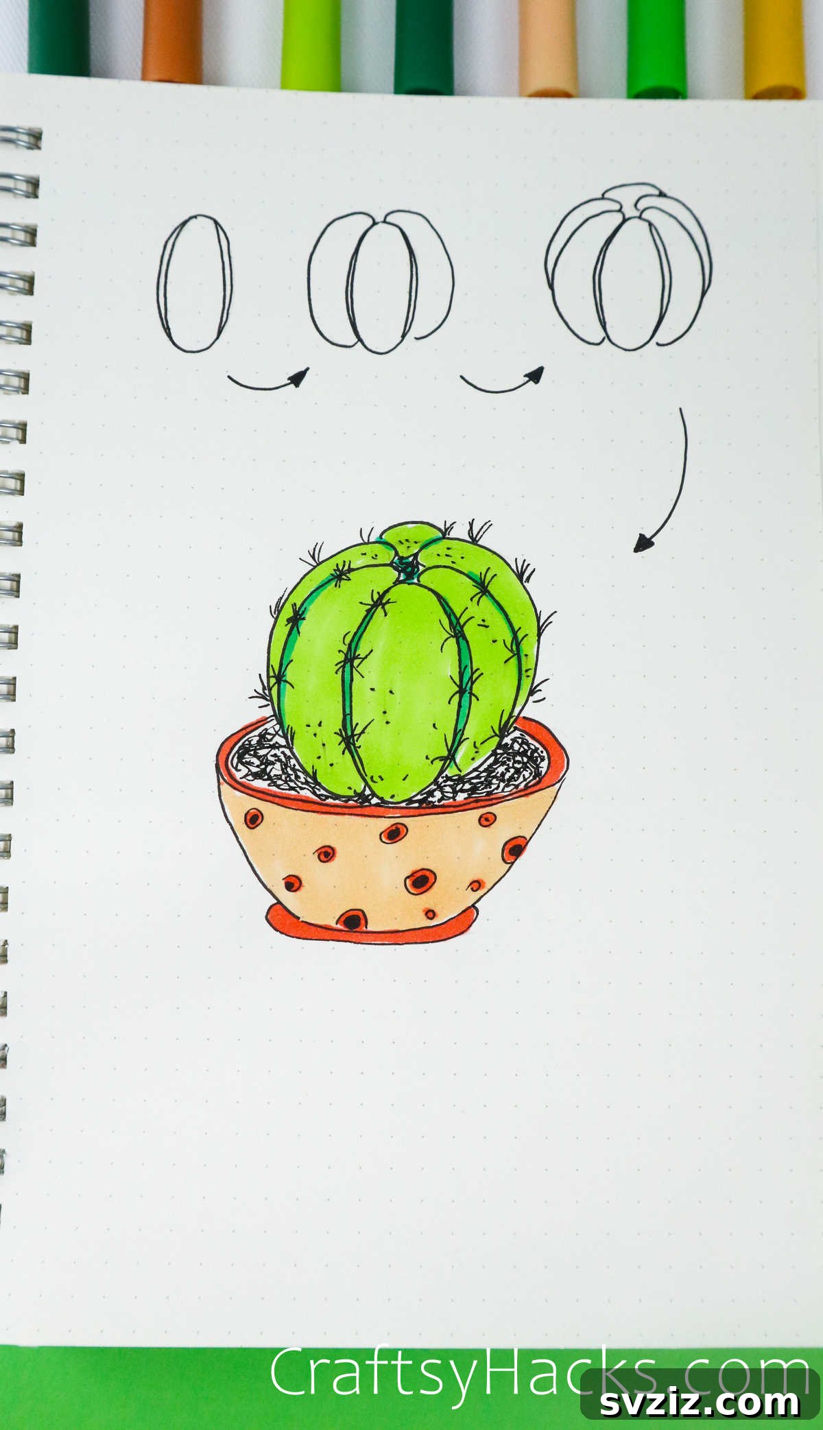 bulb cactus drawing