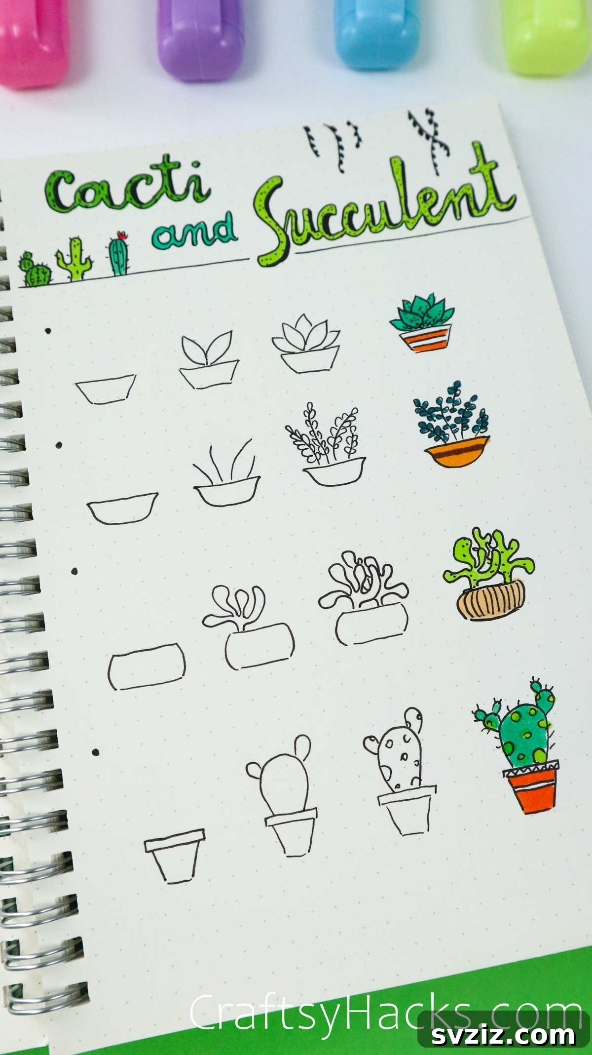 cacti and succulent drawing ideas