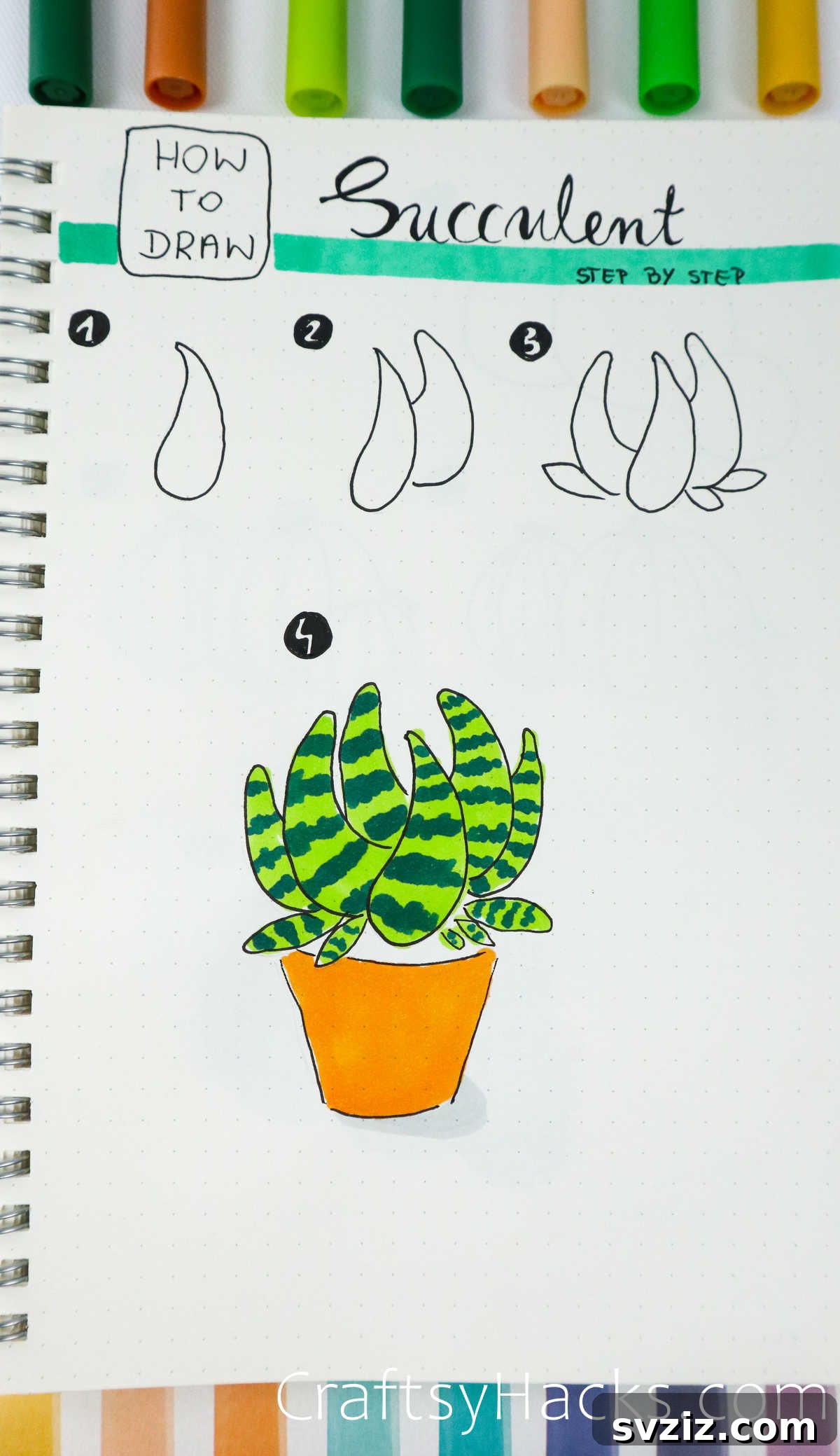 step by step succulent drawing