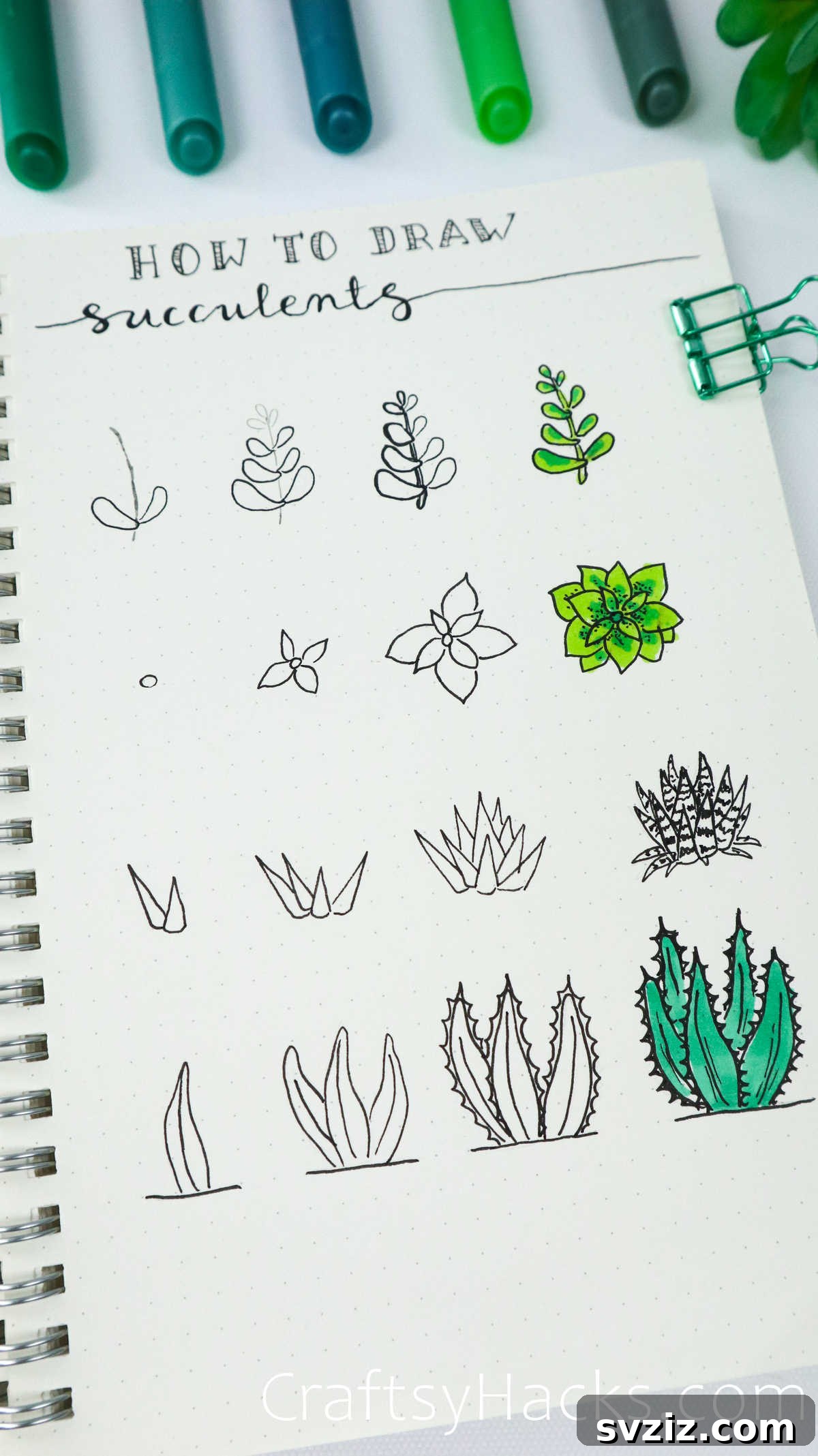succulent drawing tutorial