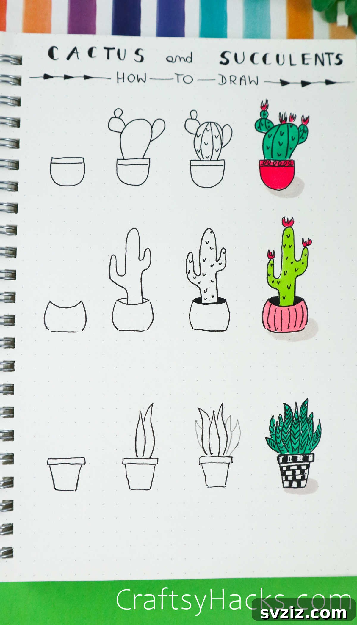 cactus and succulent drawing ideas