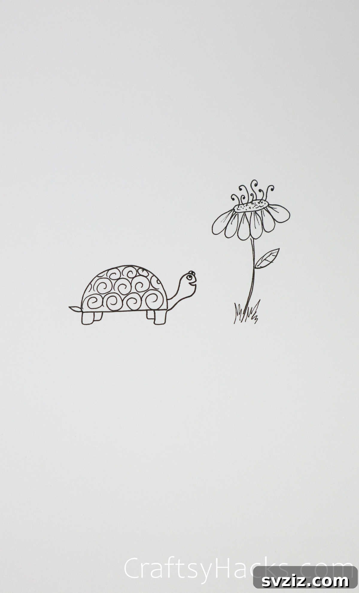 turtle and flower drawing
