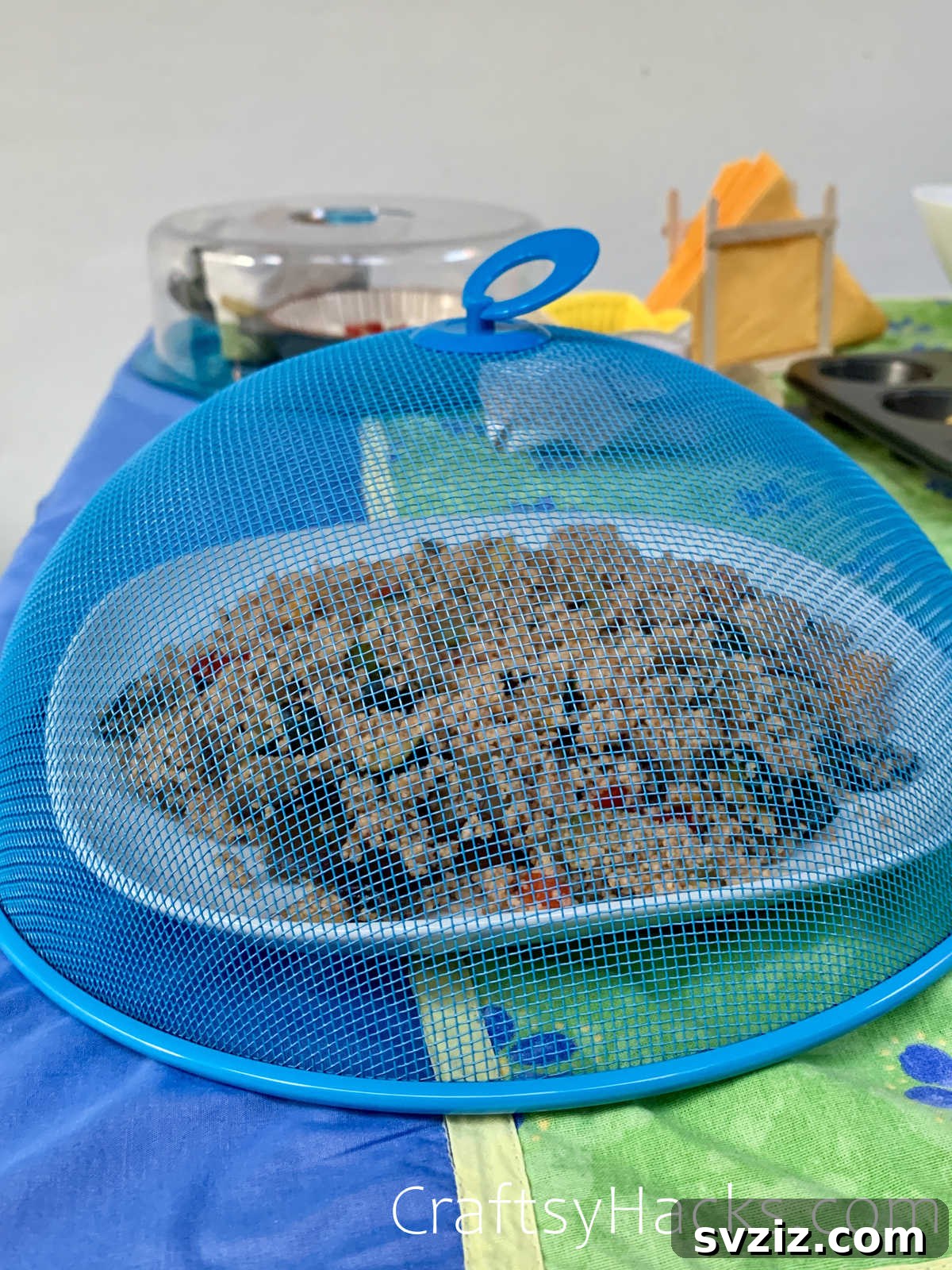 21 Genius Party Tricks 22 Easy bug deterrents using netted covers for outdoor food