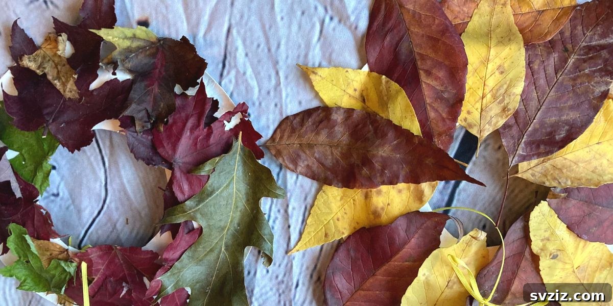 fall wreath