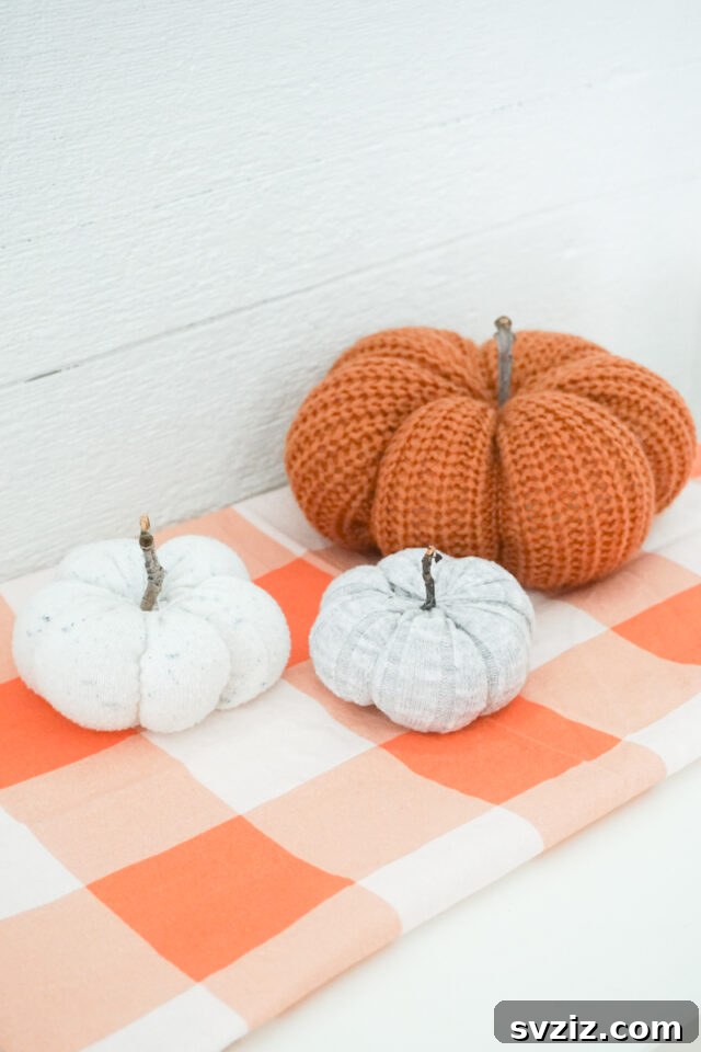 sweater pumpkin