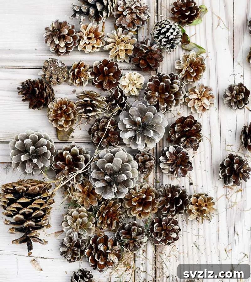 pine cone mason jar