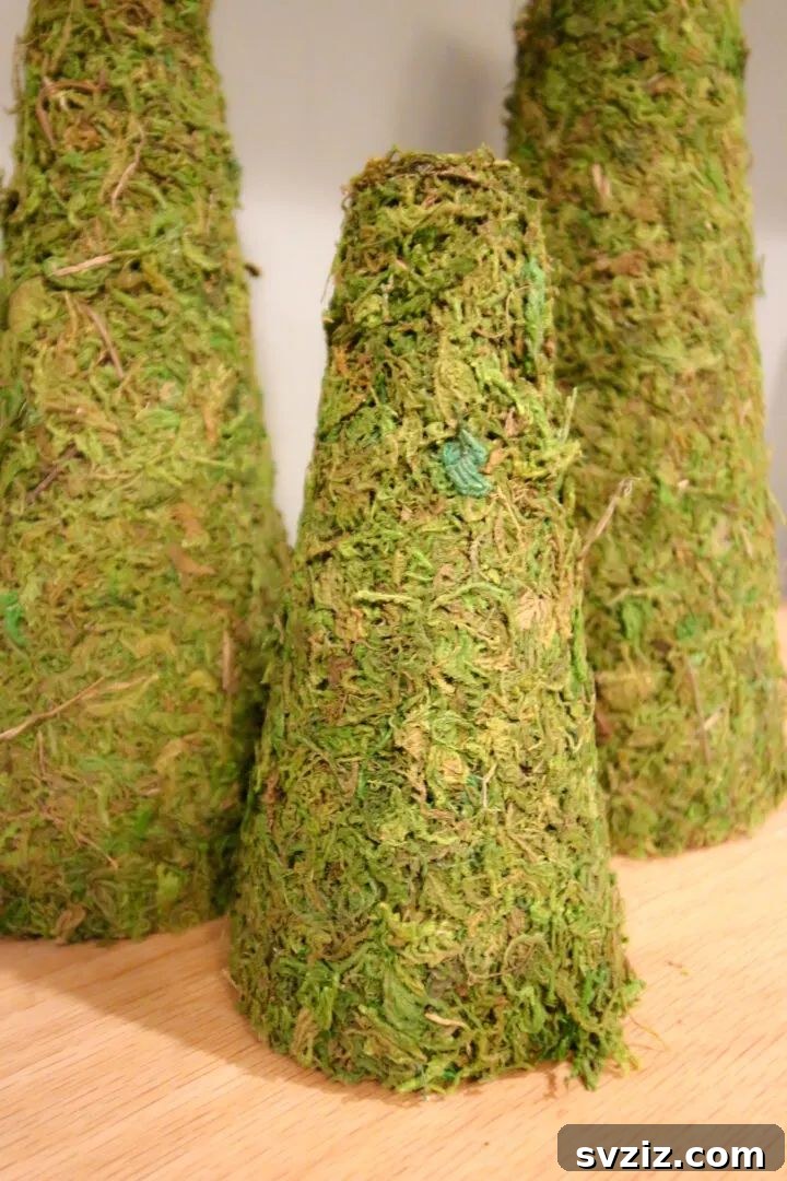 mossy Christmas tree