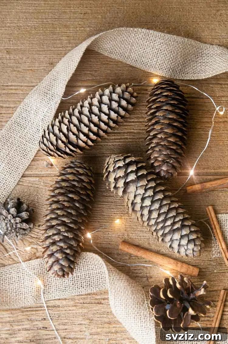 cinnamon pine cones