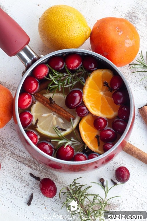 31 Crafty Christmas Gift Ideas Under $10 12 holiday simmer pot mixes