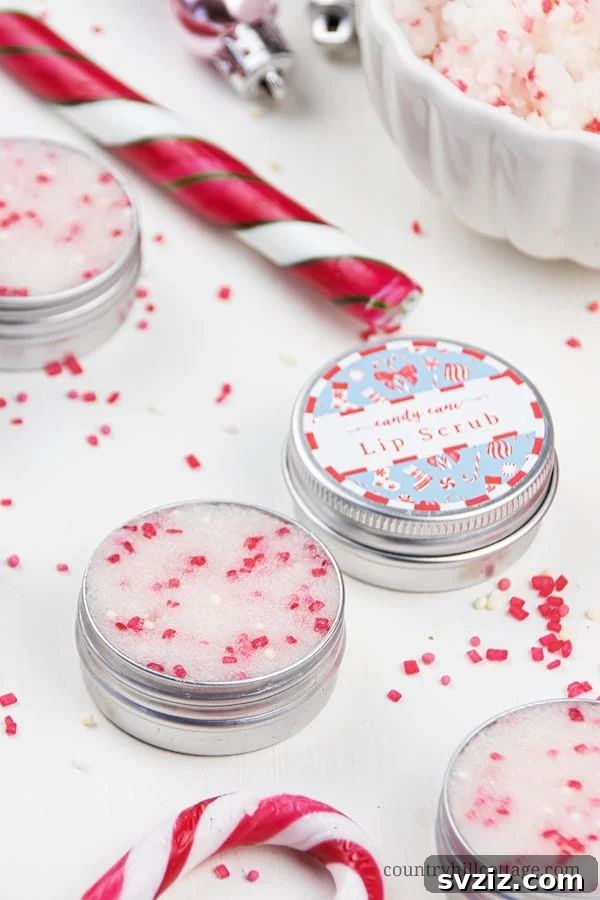 31 Crafty Christmas Gift Ideas Under $10 27 peppermint lip scrub