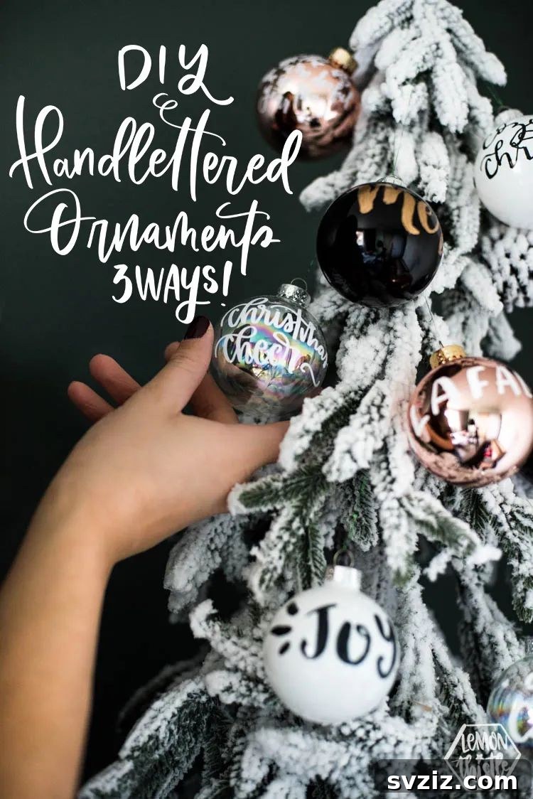 Artistic hand-lettered ornaments in three unique styles.