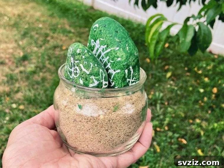 painted rock cactus plant