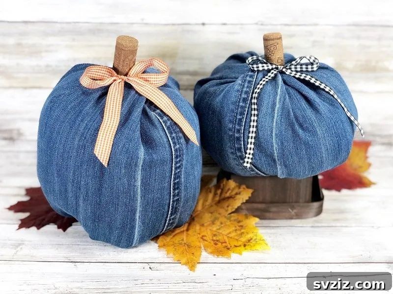 41 Amazing Pumpkin Creations 17 denim jeans pumpkins