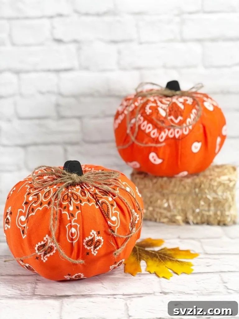 41 Amazing Pumpkin Creations 18 bandana pumpkins