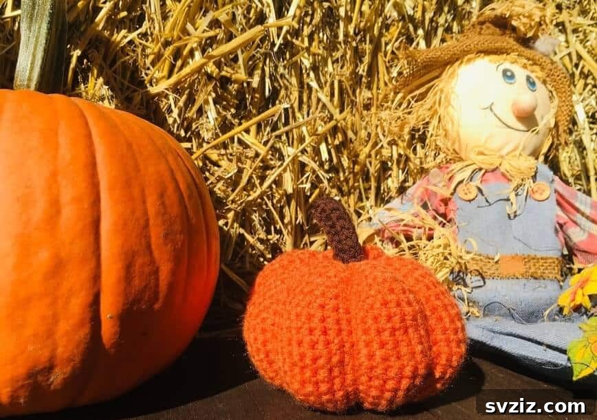 41 Amazing Pumpkin Creations 36 crochet pumpkins