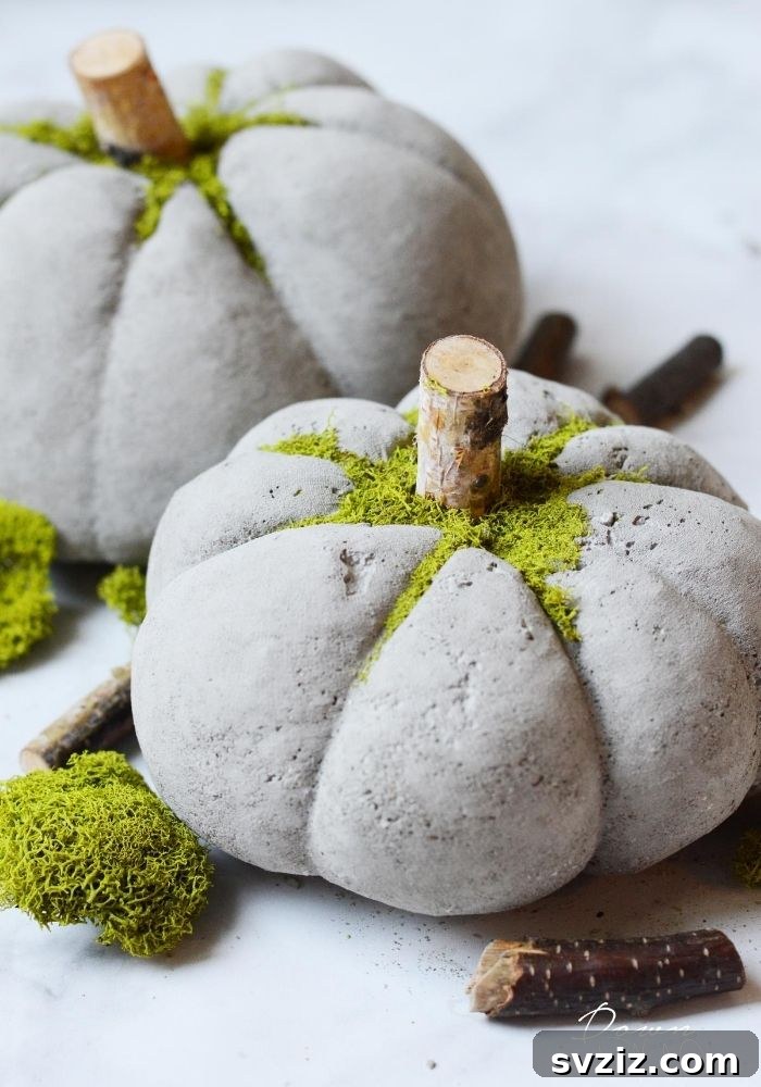 41 Amazing Pumpkin Creations 43 concrete pumpkins