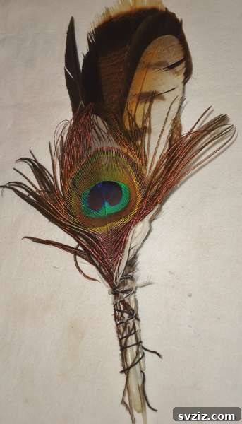 41 Brilliant Feather Projects 31 feather fan
