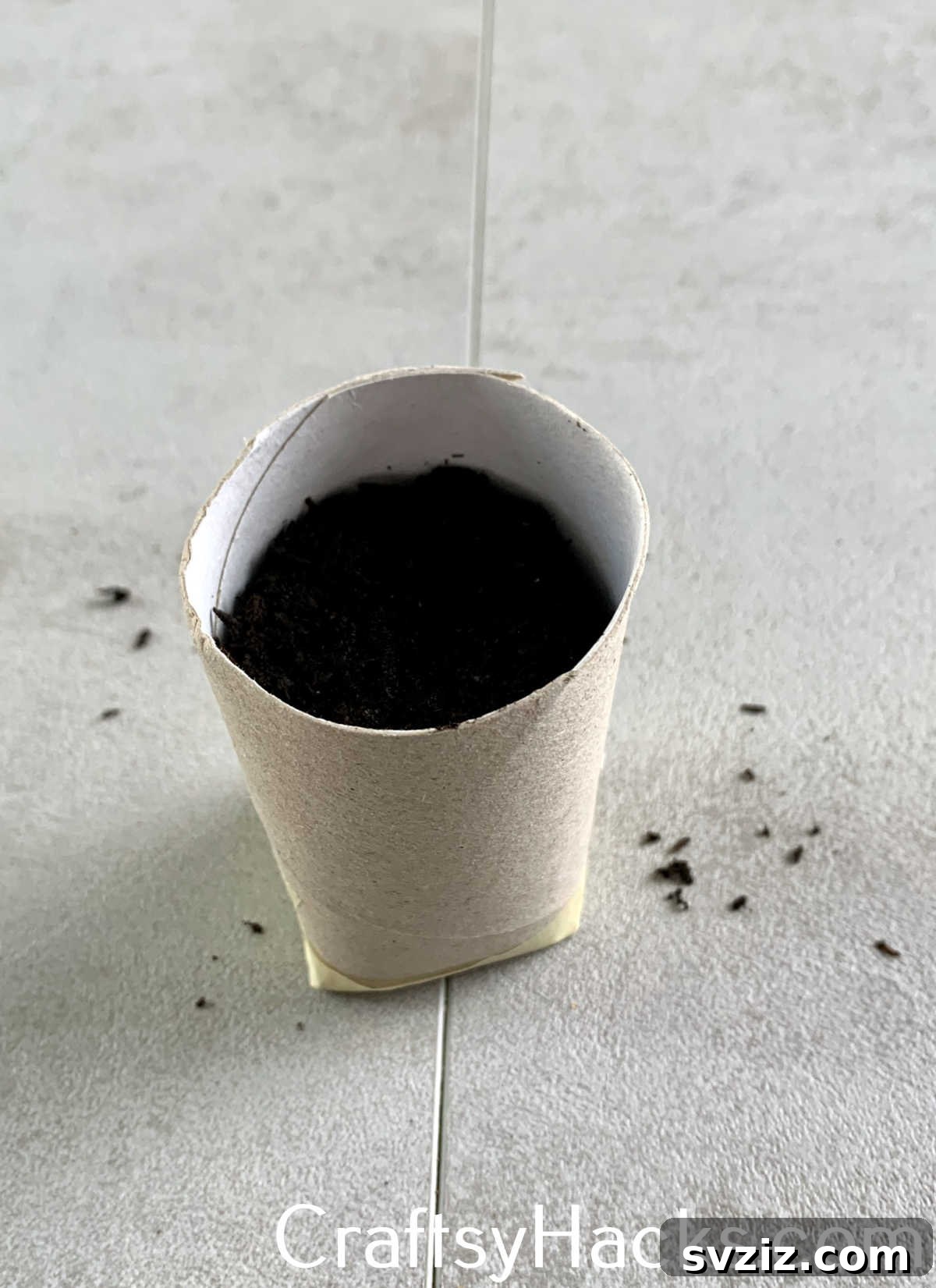 Upcycle toilet paper rolls into biodegradable seed starter pots, an eco-friendly and budget-friendly gardening hack that protects delicate seedlings during transplanting.