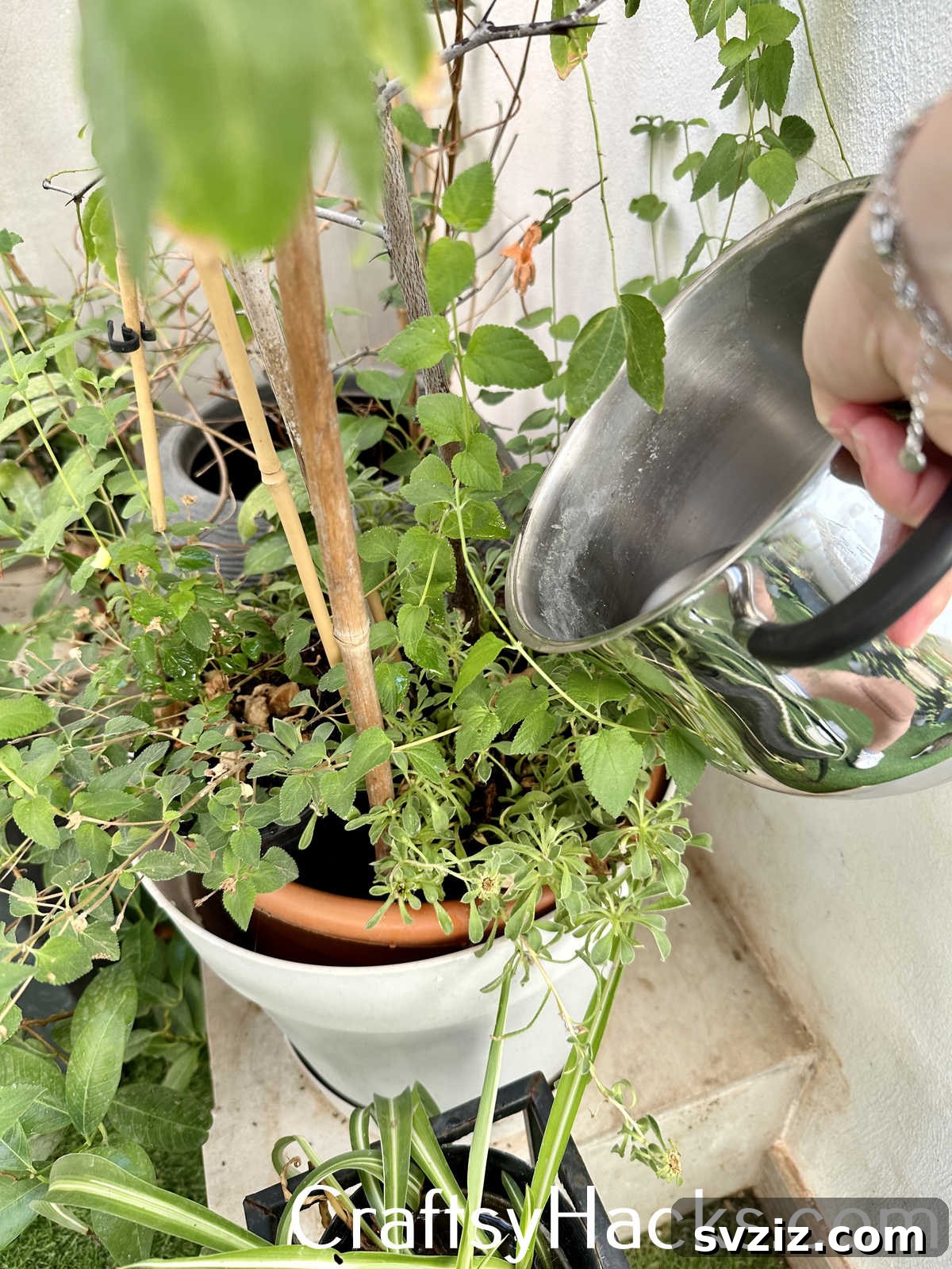 21 Clever Tricks to Drastically Cut Your Spending 4 Use Cooking Water to Water Plants