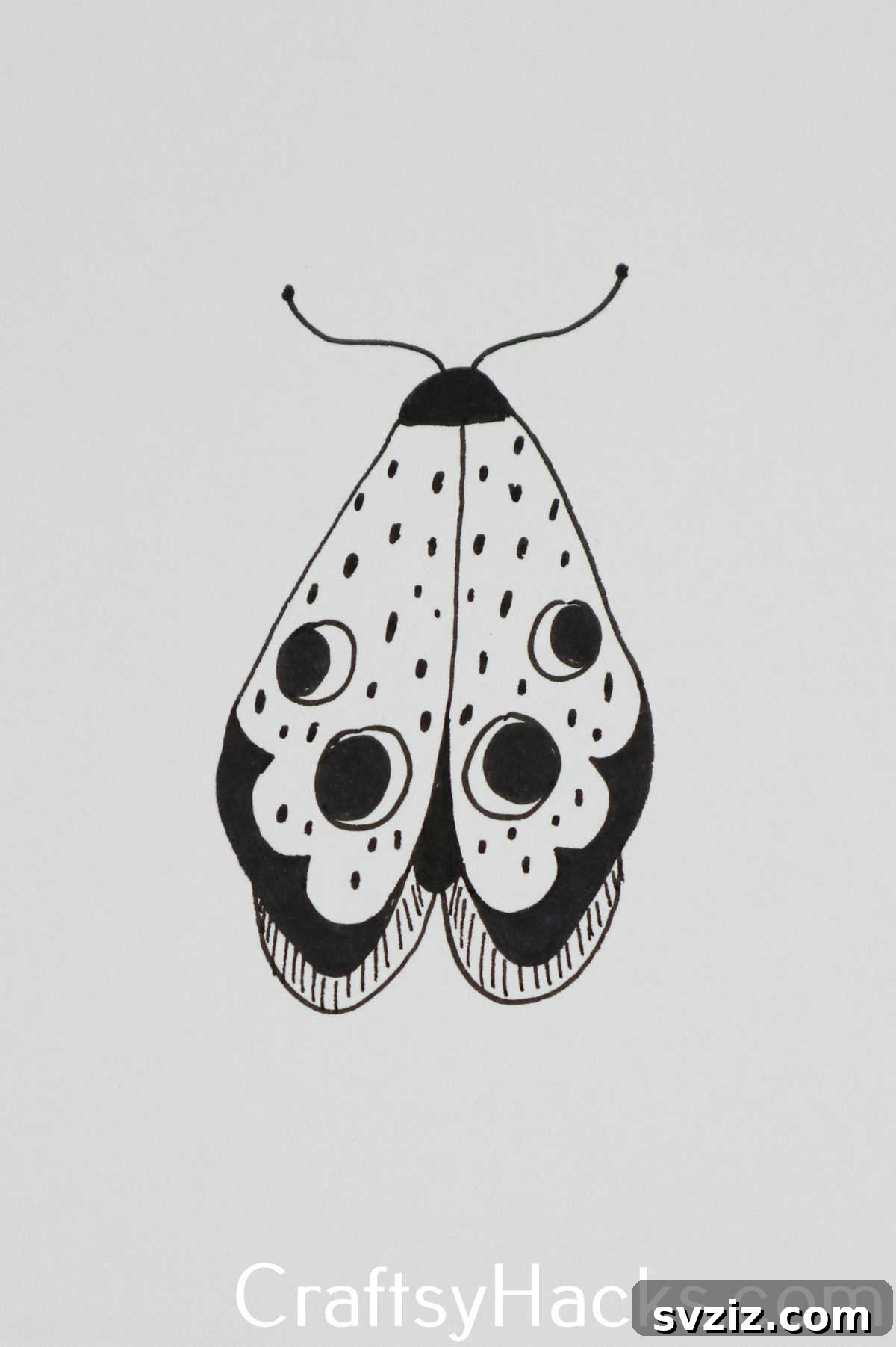 31 Creative Doodle Prompts 10 moth doodle, an intricate insect drawing