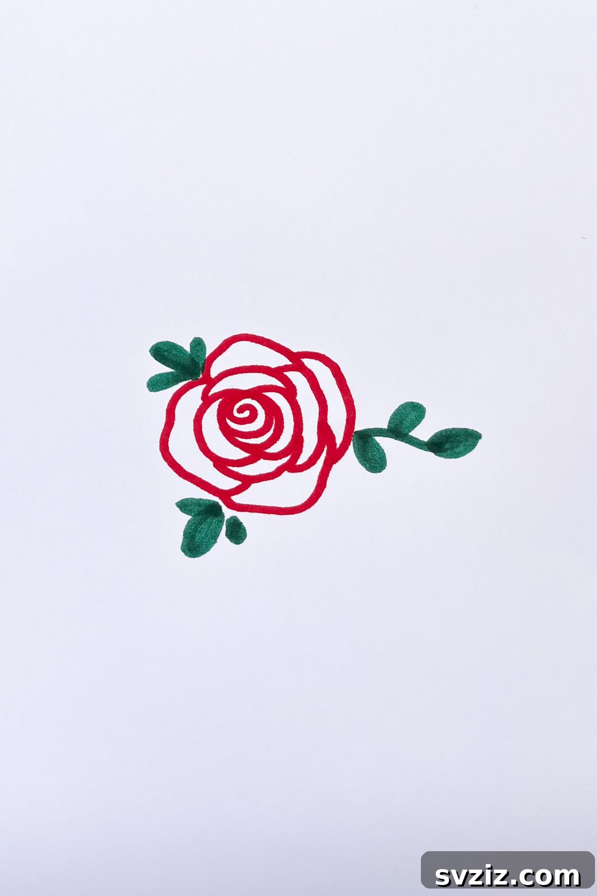 red rose flower drawing