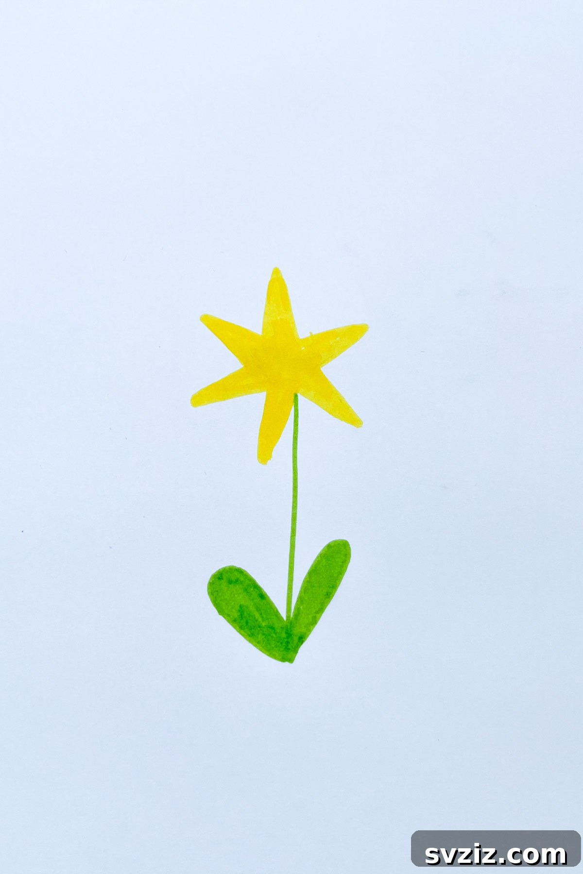 star flower drawing