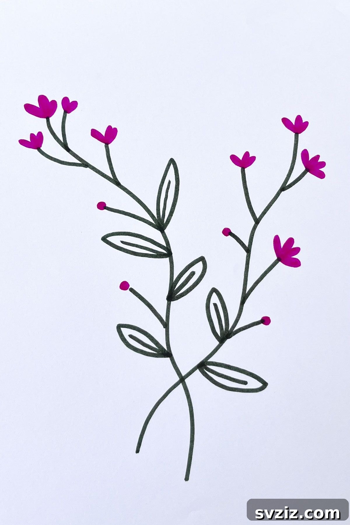 purple vines drawing