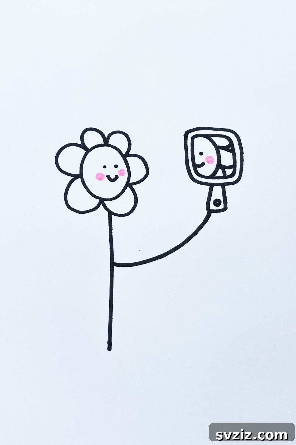 blushing mirror flower drawing