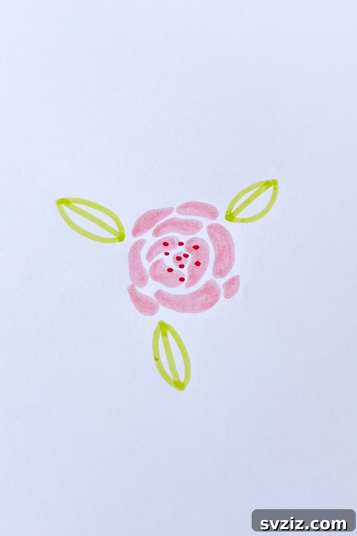 pink rose drawing