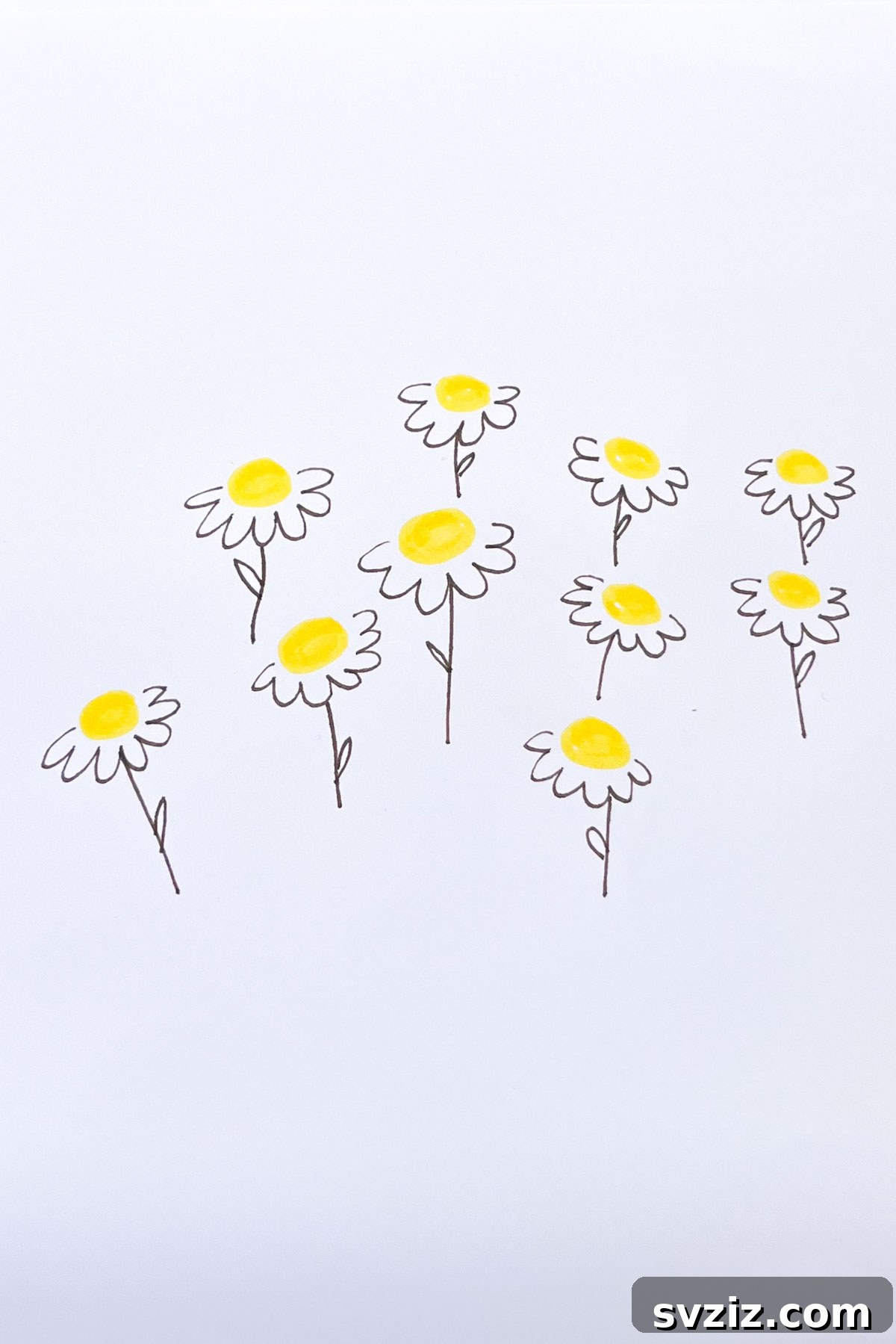 yellow daisies flower drawing idea