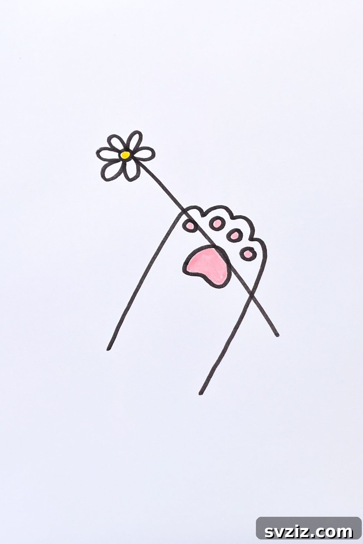paw with daisy drawing