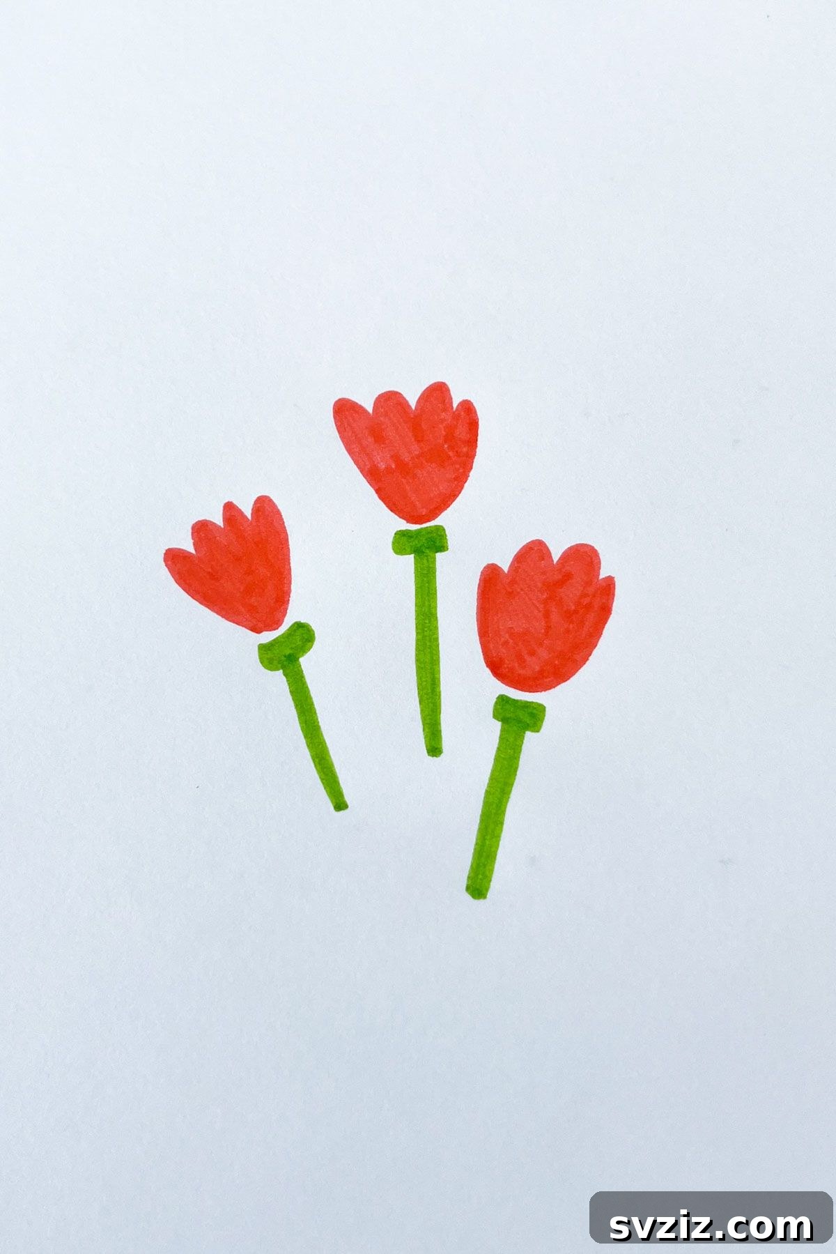 tulips drawing 