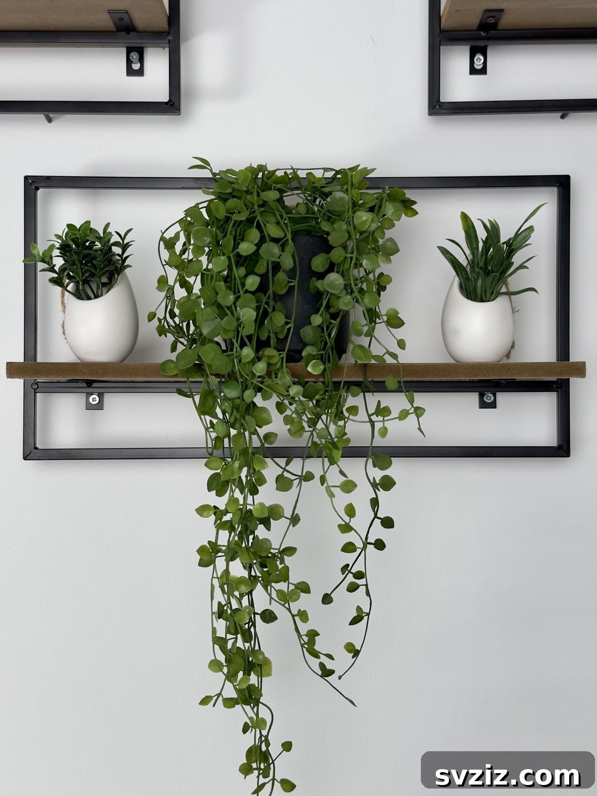Place Your Plants On Shelves