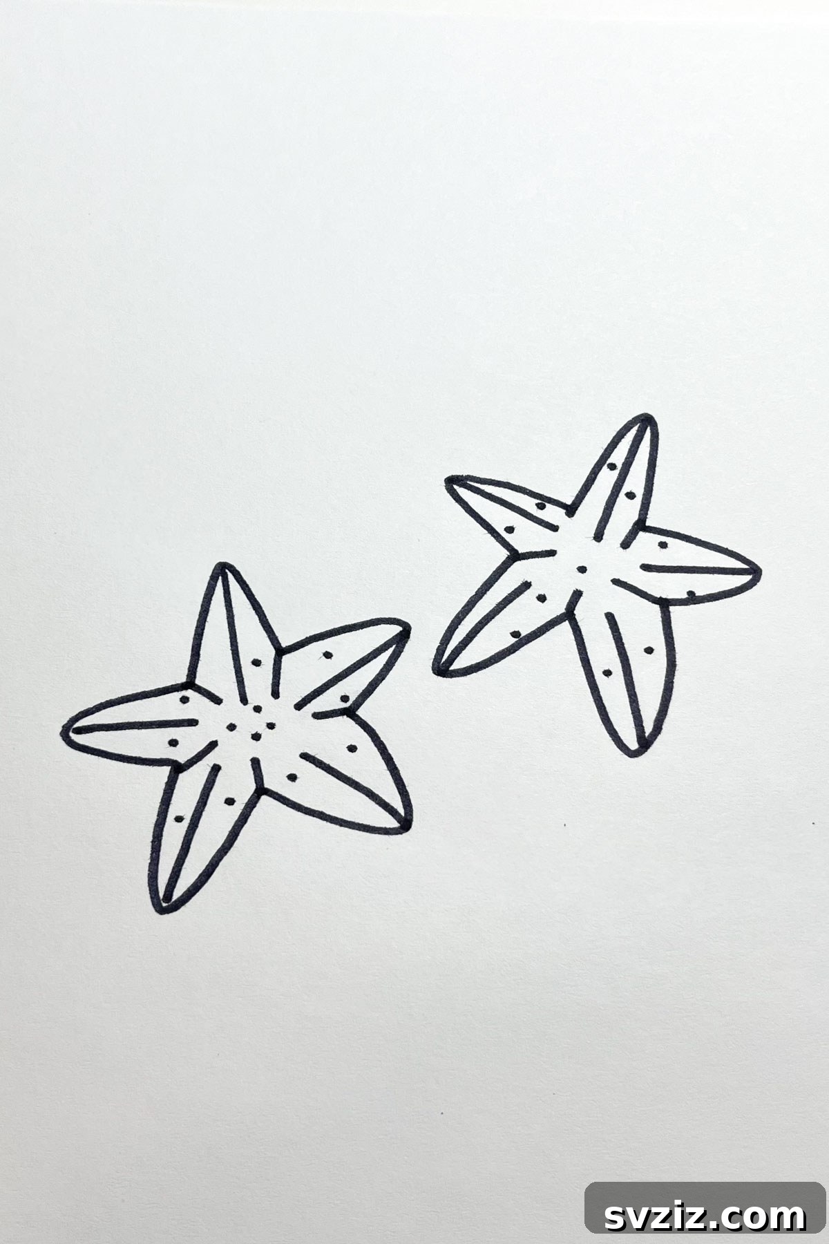31 Stellar Star Drawing Prompts 16 star fish drawing