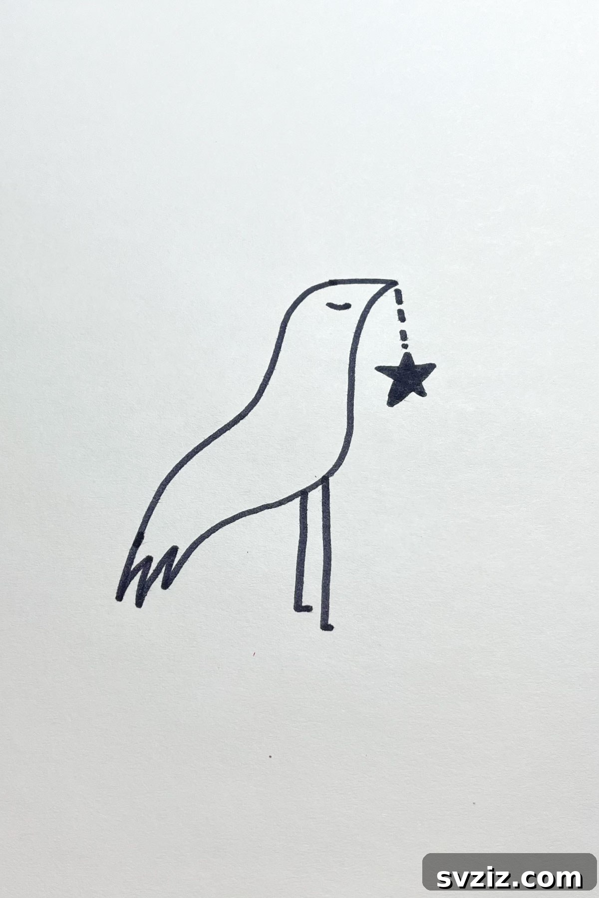 31 Stellar Star Drawing Prompts 22 bird with star drawing