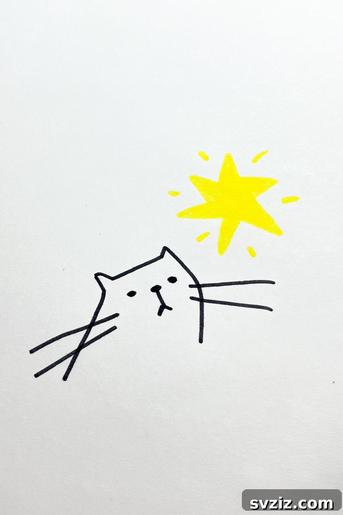 31 Stellar Star Drawing Prompts 23 stargazing cat drawing