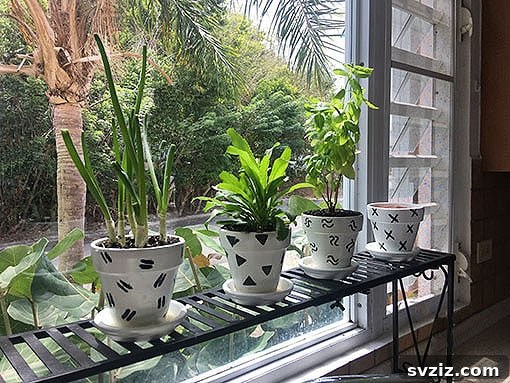 Patterned Pot