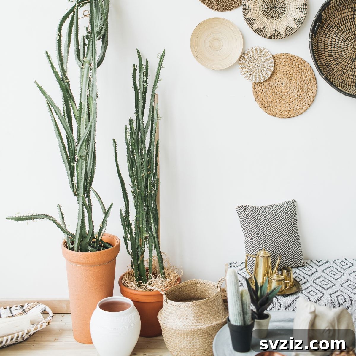 Basket Planters