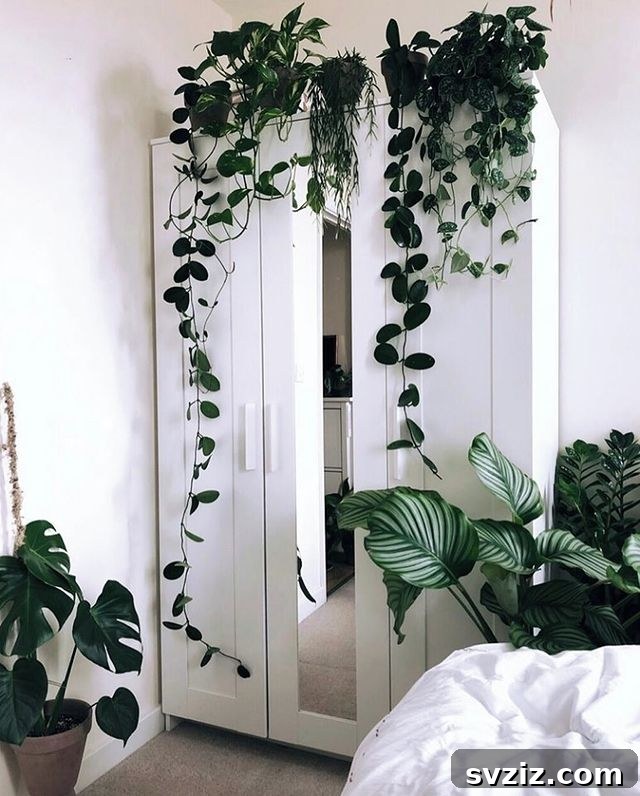 21 Ways to Create a Bedroom Oasis with Plants 13 shelftop plants