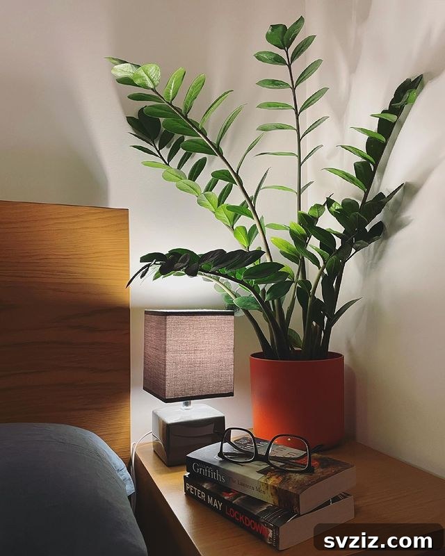 21 Ways to Create a Bedroom Oasis with Plants 15 Tall Corner Table Top Plant